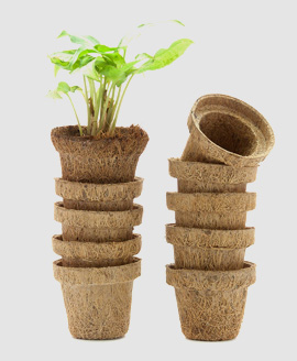 coco-pots