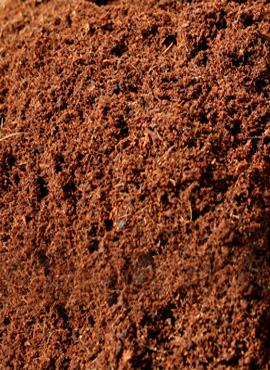 coco-peat