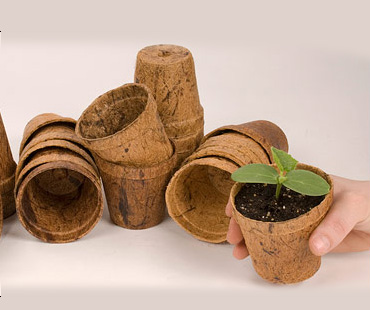 coco-pots