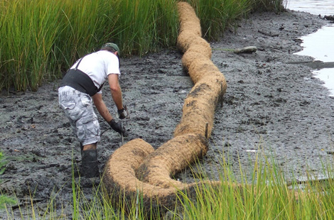 coir-logs